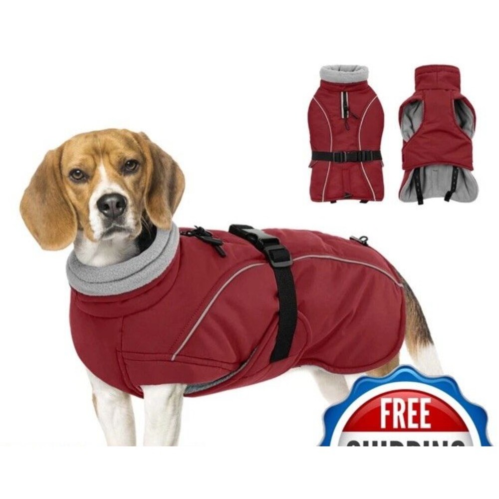 Queenmore Medium Dog Coat Winter Dog Jacket Waterproof Puffy Dog Snowsuit Large